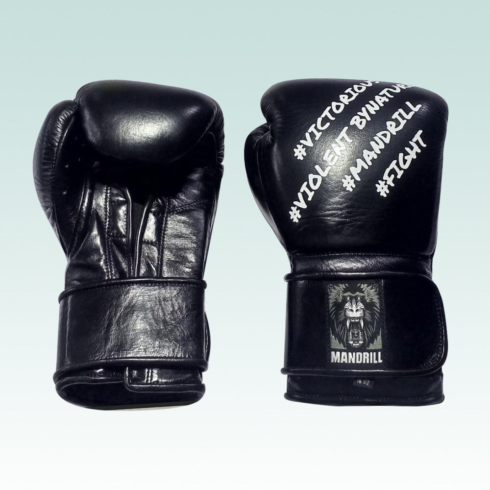 Boxing Gloves 12oz